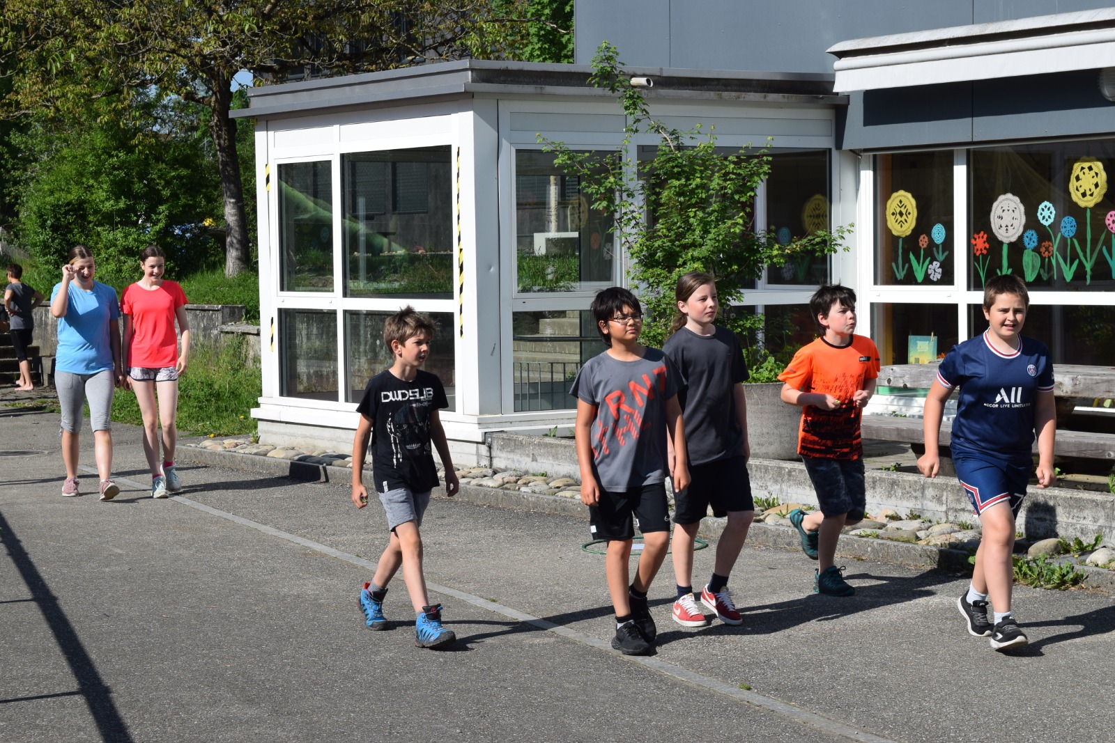 Bild (85)